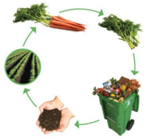 circle of organic composting