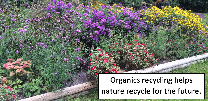 Mankato Area Zero Waste